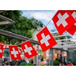 축제 파티 깃발  스위스 번팅 플래그 14x21cm 20 개대 페넌트 스트링 배너 국기 휴일 홈 인테리어 : 제이엠블루