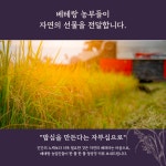 늘찬팜 프리미엄 이천쌀 알찬미 4kg 신둔농협 쌀 : 늘찬팜