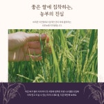 늘찬팜 프리미엄 이천쌀 알찬미 4kg 신둔농협 쌀 : 늘찬팜