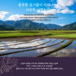 늘찬팜 프리미엄 이천쌀 알찬미 4kg 신둔농협 쌀 : 늘찬팜