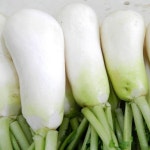 [갤러리아] [즉시출고] [더조은] 싱싱한 황토 세척 알타리무／초롱무 5kg(3단내외) : 갤러리아백화점