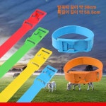 목장가축인식표 소 양 흰색 인식표 인식표목걸이 : 건호유통