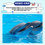 부산출발 부관훼리 패키지 자녀와 함께 바다탐험대 가라토시장 아쿠아리움 자연사박물관 노쇼핑 : 투어땅