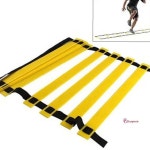 스텝레더체육 태권도장 체육관 4M 시간 노랑lmn815 : 샵팡S