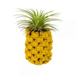 (TD) 마크라메 파인애플 이오난사 화분 만들기 - 1인 : 나는쌔삥