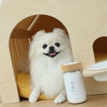 강아지 입욕제 천연 탄산 스파 미스트 보습 털관리 몽스파 몽블링 2종세트 : 바스몽