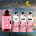 케라시스 퍼퓸 샴푸 1Lx3개 + 케라마이드 트리트먼트 1L : 파인웨이브25