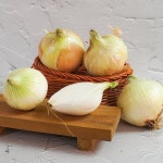 [더조은] 무안 햇양파 특대 10kg : 주식회사 케이티알파