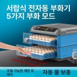 병아리 부화기 계란 메추라기 전자동 자동부화 가금류 조류 키우기 가정용 유정란 블루 24알 단일 : 하늘빛샘물