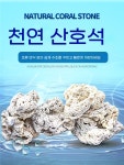 성형락 물고기집 해구석 화산석 해수어 해수어 A. 프리미엄 데드 스톤  1 Catties : Yellowd-옐로우드