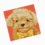 두몰 25x25 초코 푸들 페인팅 유아색칠놀이 유아색칠도안 그림따라그리기 : 두몰