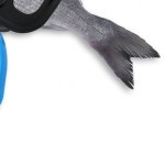 낚시용품 생선집게 물고기 잡이 그립 도구 캠핑 낚시터 휴대용 클램프 : 가구천국 해신상사