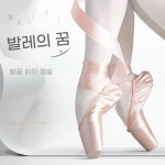 고급 전문 성인 발레슈즈 토슈즈 A. 캔버스 모델 한 사이즈 작게 주문하세요 , A. 31 : 오아픽 ohapick