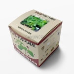 강낭콩 키우기 실내식물 신선한야채 원예용 씨앗세트 : 가누고