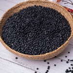 땅끝마을 쥐눈이콩 약콩 800g 국산속청 검정 검은 콩 : 은혜의집