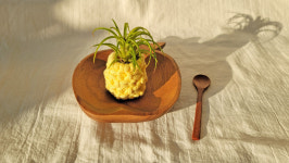 마크라메 파인애플화분 만들기 이오난사 미니화분 마크라메DIY : 무드스튜디오