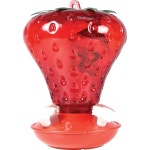Woodlink Audubon NA5540 991010 1.2L(40온스) 레드 벌새 딸기 모이통, : Urban Pick