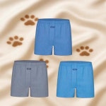 BYC 남성 B)60수3매입박서 G1365 : chromaid