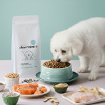 츄뗌므 독 이뮨케어 유산균 프로 포스트 바이오틱스 장건강 피부 면역 강아지사료 1.2kg : 츄뗌므