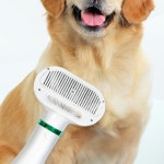 반려 동물 브러시 드라이기 애완 강아지 고양이 목욕 용품 pet brushing dryer : 쉬엄50