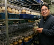 산지직송 국산 무농약 친환경 느타리버섯 2KG 참타리 맛느타리 대용량 : 키움의미학스토어