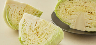 [바름팜] 제주 양배추 1통 (900g) : 컬리N마트