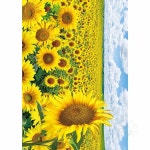 리트레일 직소퍼즐 풍경 해바라기 들판 1014피스 심심풀이 판퍼즐 초등학생 : 리트레일