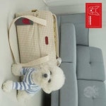 리트레일 애견가방 옐로우 기내용가방 켄넬 숄더백 : 리트레일