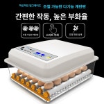 가정용 소형 자동 계란 부화기 스마트 병아리 6알 단일 전원 완전 : 올킬 차이나