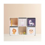 H6294 2단 6칸 심플 낮은책장 1color : 우수생활