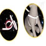 서지스토어 3M 리플렉스 X밴드 세트 M 애견산책줄 반려견목줄 목줄 : 서지추천샵