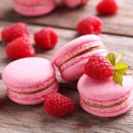 카스모아레 9개 원형 배관 팁 마카롱 케이크 및 쿠키 장식 일반 튜브 세트 : SHOP 데이원