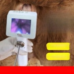 인공수정 정액 주입기 가축 소 교배 번식 전기 : 행복홈즈