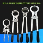 무혈거세기 스텐 축산기 거세 무혈 키트 동물병원 돼지 스테인레스 고무 A. 돼지 거세 집게 : 프라임픽셀렉션