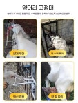 송아지 머리 목장 제거 농장 개 젖짜기 조절가능양머리고정프레임+로프 가축 : DAMI DAMI