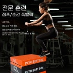 크로스핏 박스 점프 헬스장 트레이닝 체력단련 점프력 향상 피트니스 어린이용 : 코알라스물