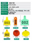 축산용품 송아지 장착기 오렌지 돼지 번호표 소 이표 오렌지 양 50세트 01-50 : 21세기스스