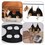 털 미용 해먹 강아지 방법 관리 반려동물 고양이 거치대 사용법 정리 애완동물 : 트렌업