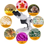 스위프트 S306S-20-2L 쌍안경 스테레오 현미경 20배 /40배 /80배... 장착 헤드 와이드 필드 10배 /20배 접안 렌즈 상하 LED 조명 : SHOP 데이원