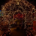 조명 마스 전구 장식 30m 오래가는 LED 트리 지네 웜색 에너지 특별한 대형 : 런샵