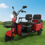 (파격할인_완조립배송) 전남 순천 AU테크 에코로 X5 어르신 노인전동차 48V 20Ah : 순천전기자전거 전기스쿠터