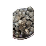 벌교 참꼬막 1kg : 공주 유통