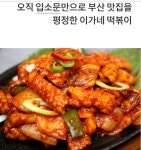 이가네 떡볶이 소스 집밥 만능양념장 (볶음 조림 무침 한 병으로 해결 집밥필수템) 모음전 : 나은몰 Naeun Mall