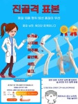 반려동물 해부학 골격 수의대 모델 교육용 전문 표본 : 바론트