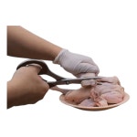 제우스 닭뼈 닭발 게 랍스터 킹크랩 티타늄 뼈가위 4T : 에프지몰