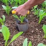 다목적 모종 이식기 도구 텃밭 원예 농장용 스테인리스 : floens