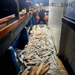 카포스 세네 에기 이카 드롭퍼 만세기 쎄네 갑오징어 한치 쭈꾸미 CENE : 드림낚시 본점