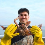 [100% 국내산] 만솔수산  동해안 일반대게 ,준박달대게 : 만솔수산1호점