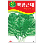 백경근대 5g 채소씨앗 근대씨앗 야채종자 주말농장 텃밭씨앗 채소가꾸기(CN) : 신가네