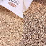 경북 영주 들깨 참깨 1kg 통깨 생깨 깨 2025년산 햇깨 영주 황가네 들깨 1kg(2025년산) : 씨유니